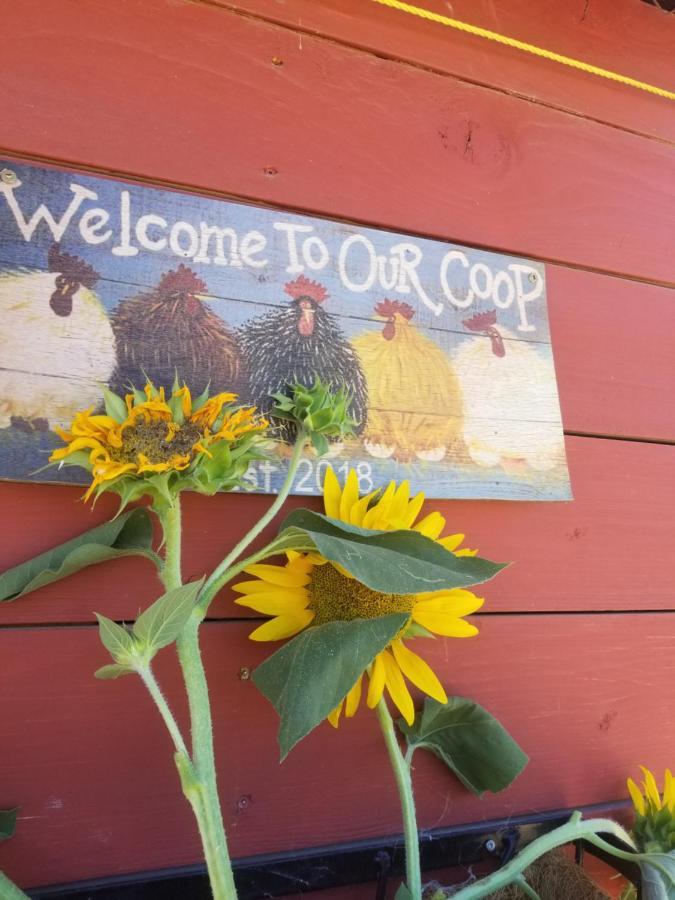 Global Village Permaculture Bnb Oliver Exterior foto